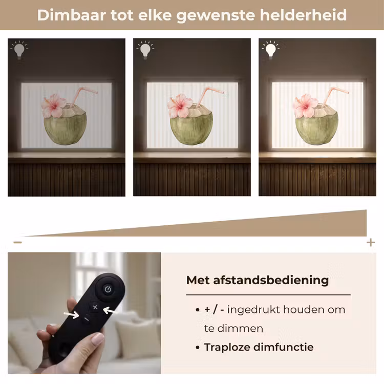 Lightbox - Wandlamp - Kokosnoot - Drank - Tropisch - Illustratie - Zomer — 9