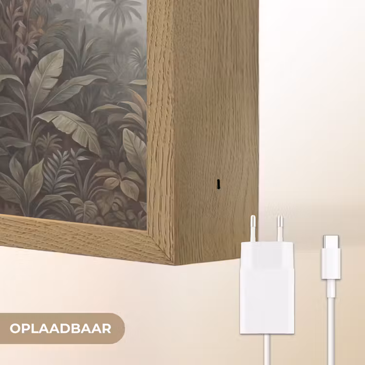Lightbox - Wandlamp - Vogel - Vliegend - Tropisch - Landschap - Klassiek — 7