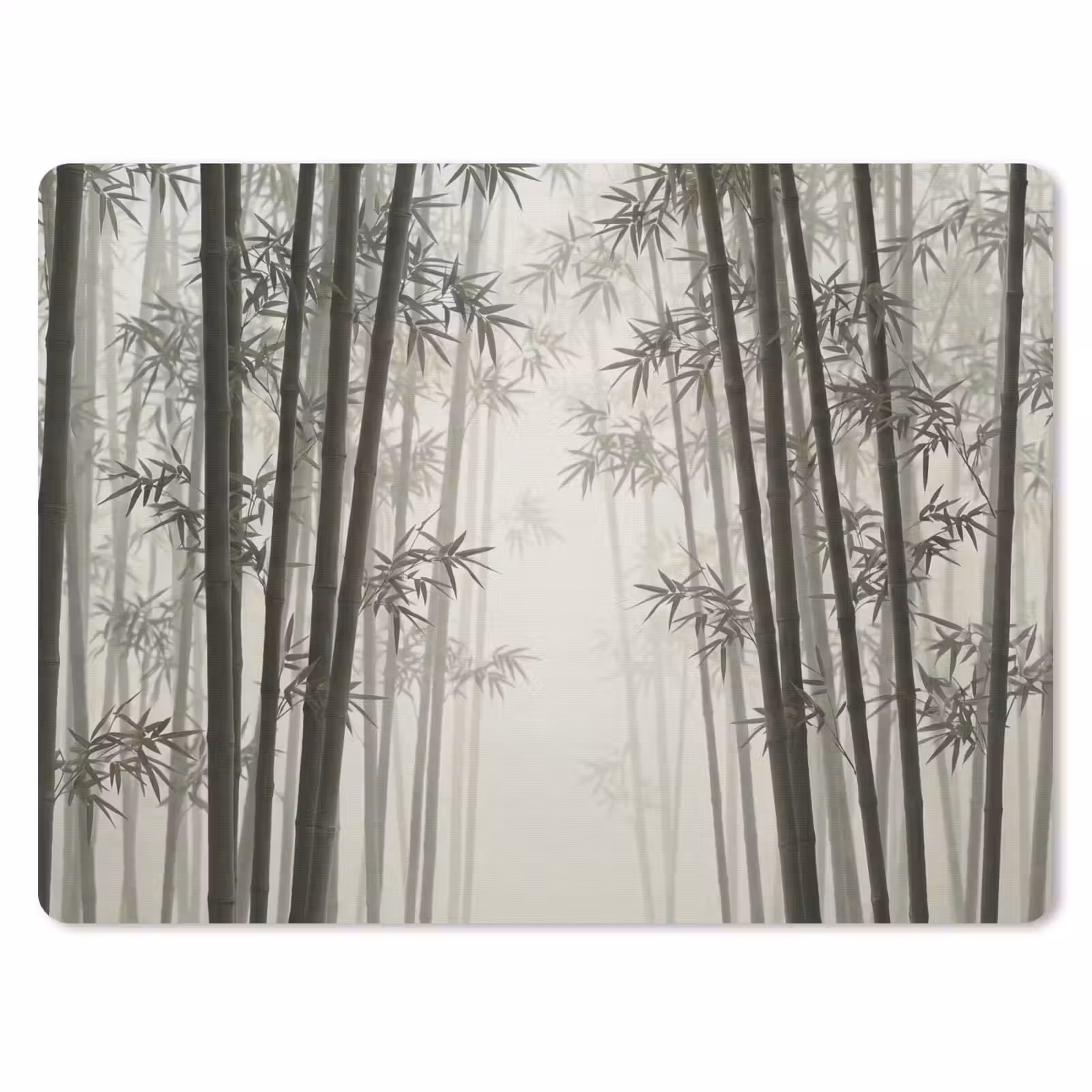 Muismat - Bamboe - Bos - Mist - Natuur — 1