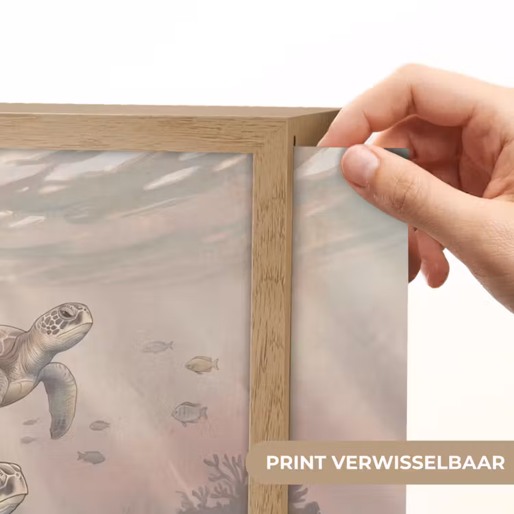 Lightbox - Wandlamp - Dier - Onderwater - Oceaan - Illustratie - Zeeleven — 5