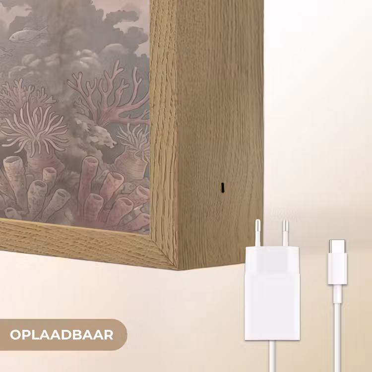 Lightbox - Wandlamp - Dier - Onderwater - Oceaan - Illustratie - Zeeleven — 7