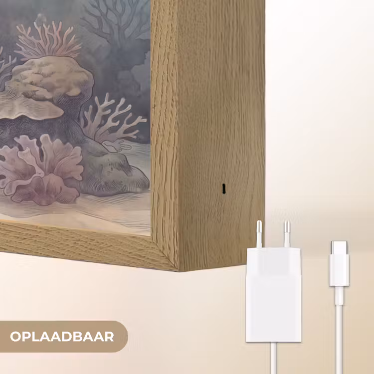 Lightbox - Wandlamp - Koraal - Onderwater - Natuur - Roze — 7