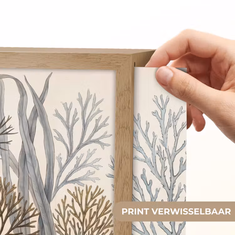 Lightbox - Wandlamp - Natuur - Onderwater - Botanisch - Vintage - Kleurrijk — 5