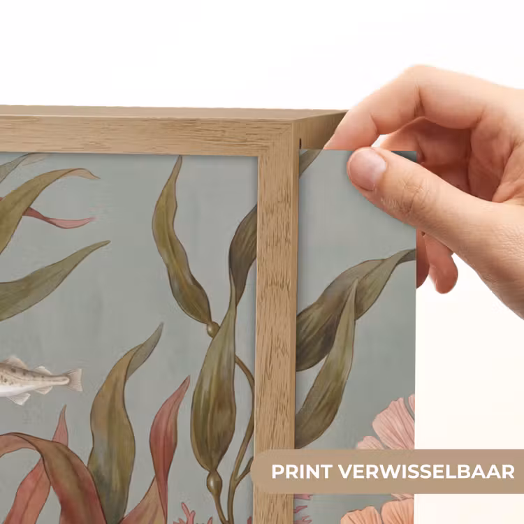 Lightbox - Wandlamp - Onderwater - Planten - Vis - Vintage - Groen — 5