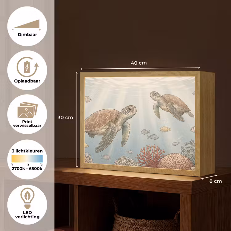 Lightbox - Wandlamp - Schildpad - Onderwater - Natuur - Illustratie — 10