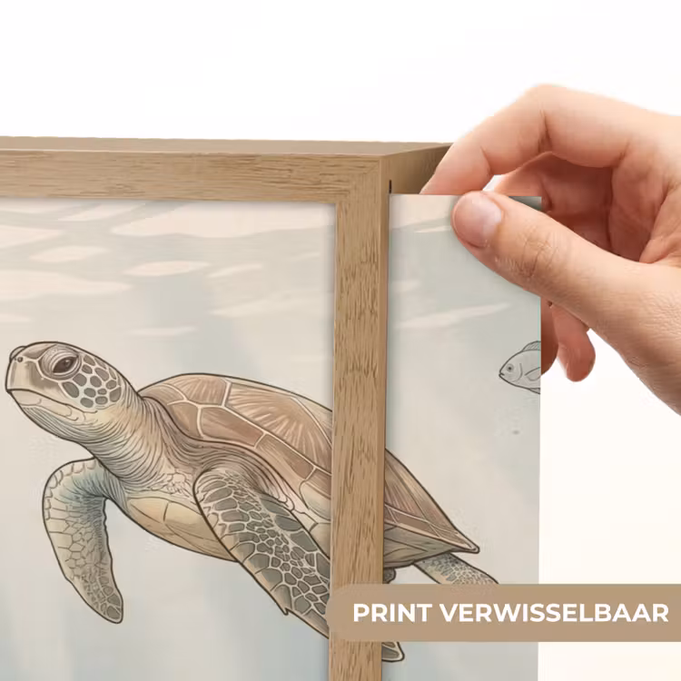 Lightbox - Wandlamp - Schildpad - Onderwater - Natuur - Illustratie — 5