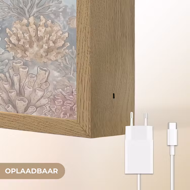 Lightbox - Wandlamp - Vis - Koraal - Oceaan - Illustratie - Onderwater — 7