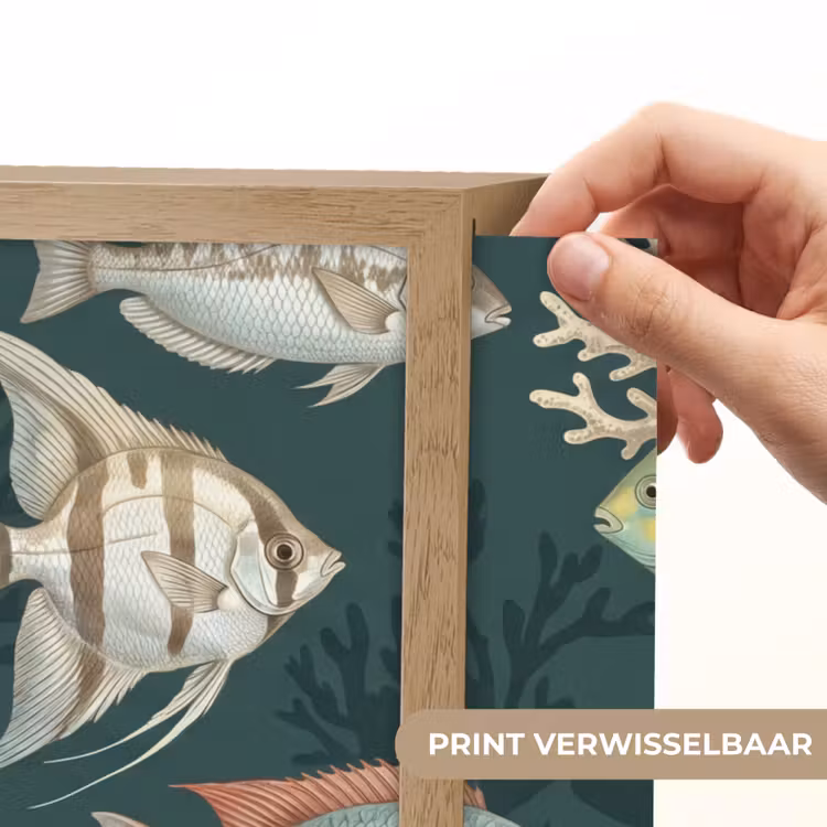 Lightbox - Wandlamp - Vis - Koraal - Onderwater - Illustratie — 5