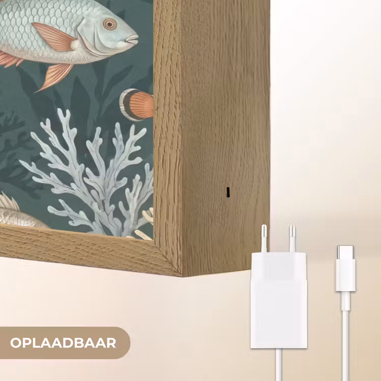 Lightbox - Wandlamp - Vis - Koraal - Onderwater - Illustratie — 7