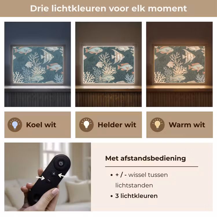Lightbox - Wandlamp - Vis - Koraal - Onderwater - Illustratie — 8