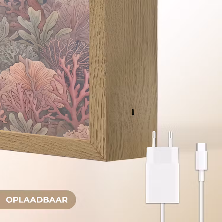 Lightbox - Wandlamp - Vis - Koraal - Onderwater - Illustratie - Vintage — 7