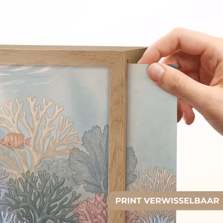 Lightbox - Wandlamp - Zee - Koraal - Vis - Natuur - Kleurrijk — 5