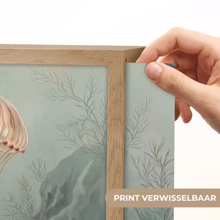 Lightbox - Wandlamp - Zeeleven - Kwal - Onderwater - Illustratie - Beige — 5