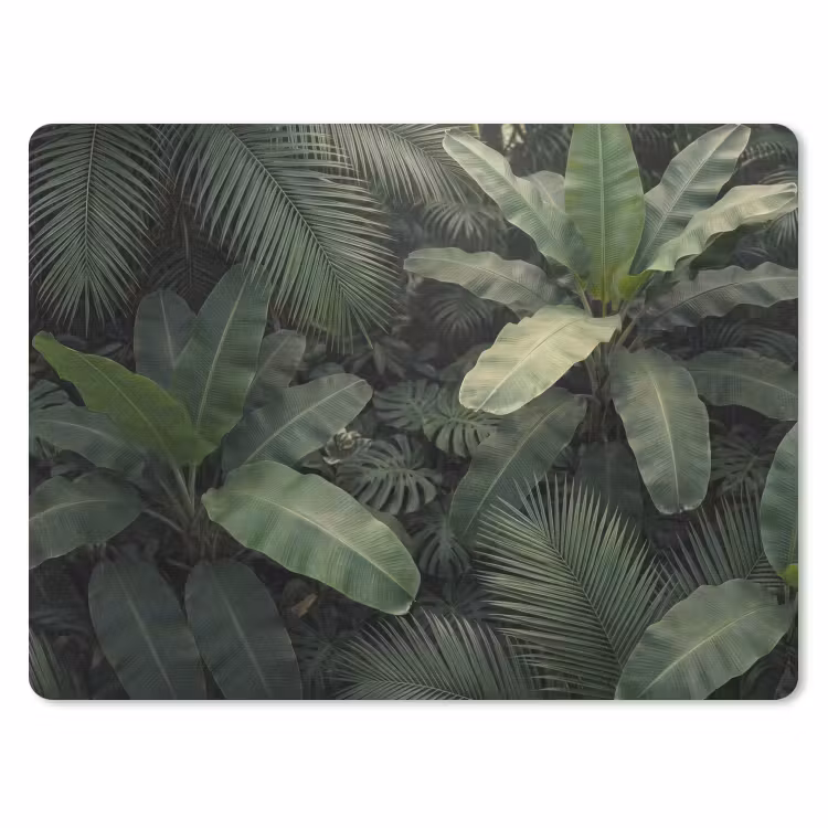 Muismat - Bladeren - Groen - Tropisch - Natuur — 1