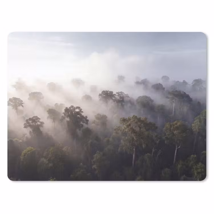 Muismat - Bos - Mist - Natuur - Groen — 1