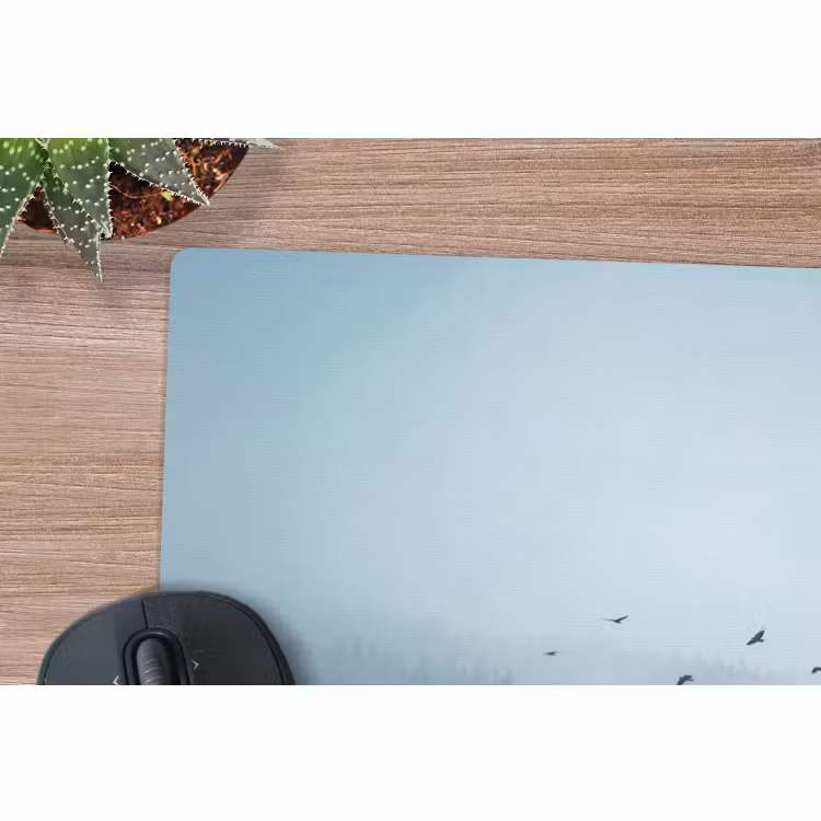 Muismat - Bos - Mist - Vogels - Natuur - Groen — 4