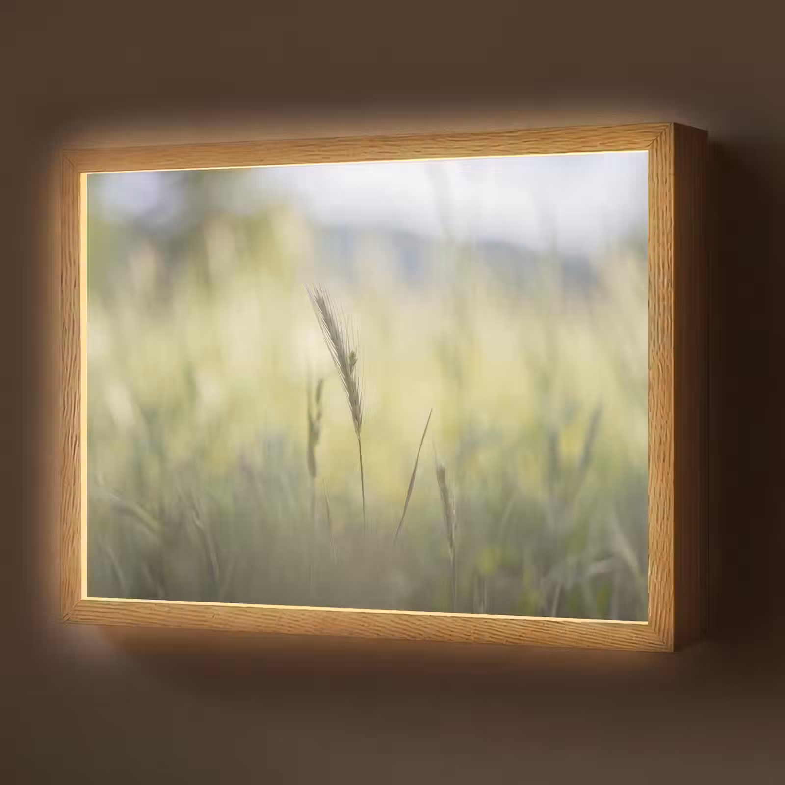 Lightbox - Wandlamp - Graan - Aar - Natuur - Groen - Detail — 1