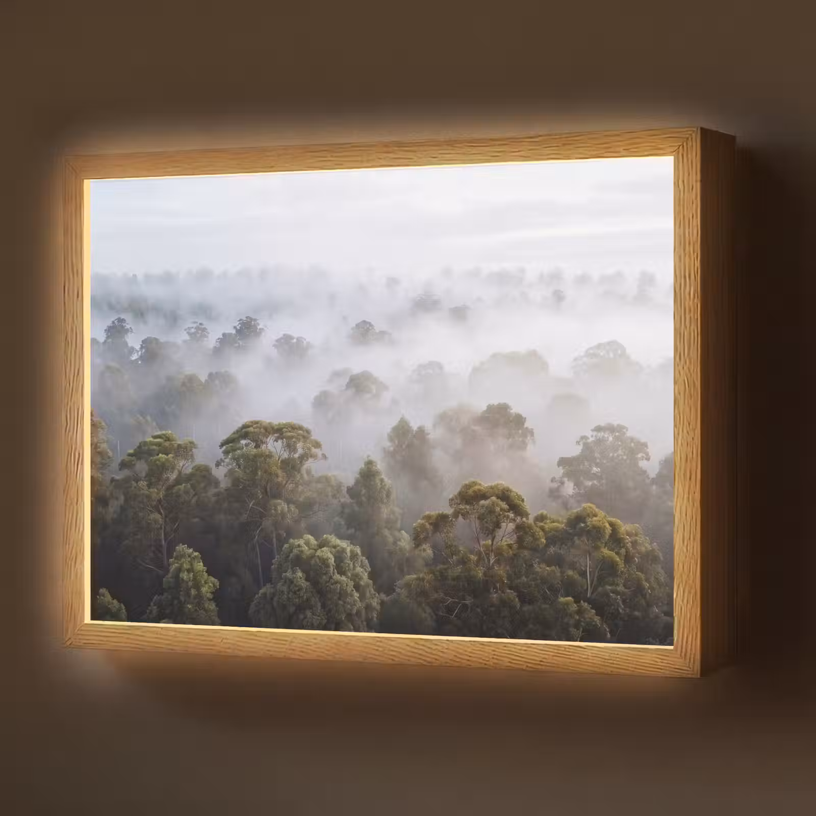 Lightbox - Wandlamp - Natuur - Mist - Bos - Ochtend - Goud — 1