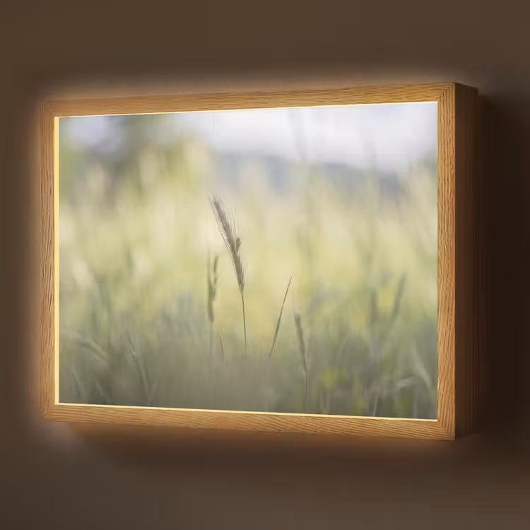 Lightbox - Wandlamp - Graan - Aar - Natuur - Groen - Detail — 1