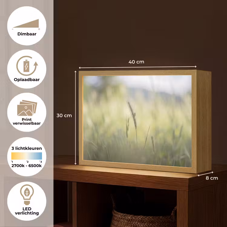 Lightbox - Wandlamp - Graan - Aar - Natuur - Groen - Detail — 10