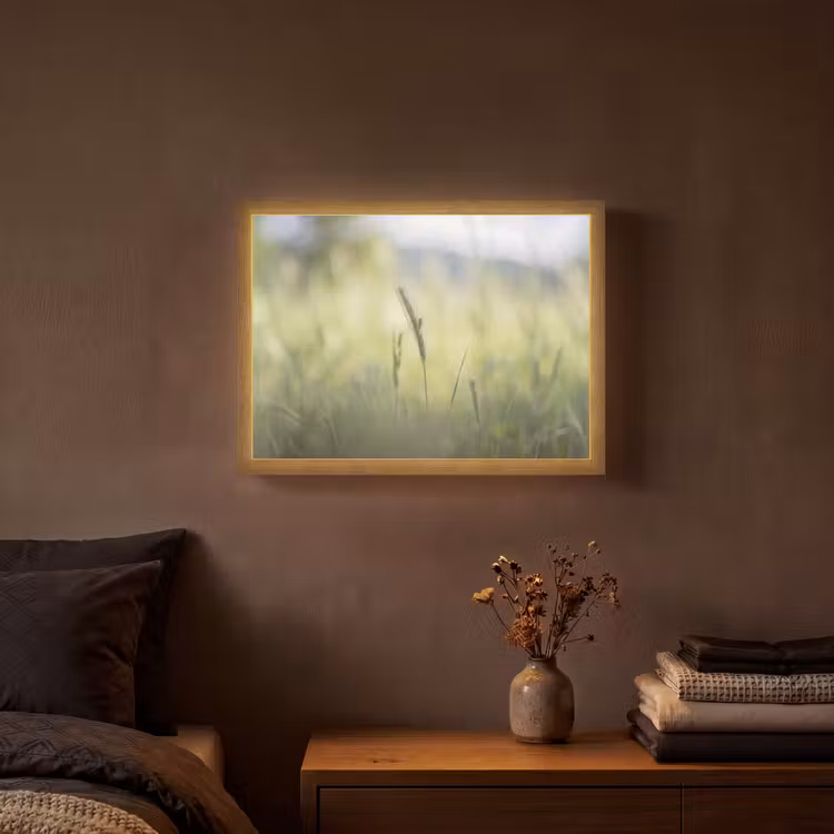 Lightbox - Wandlamp - Graan - Aar - Natuur - Groen - Detail — 3