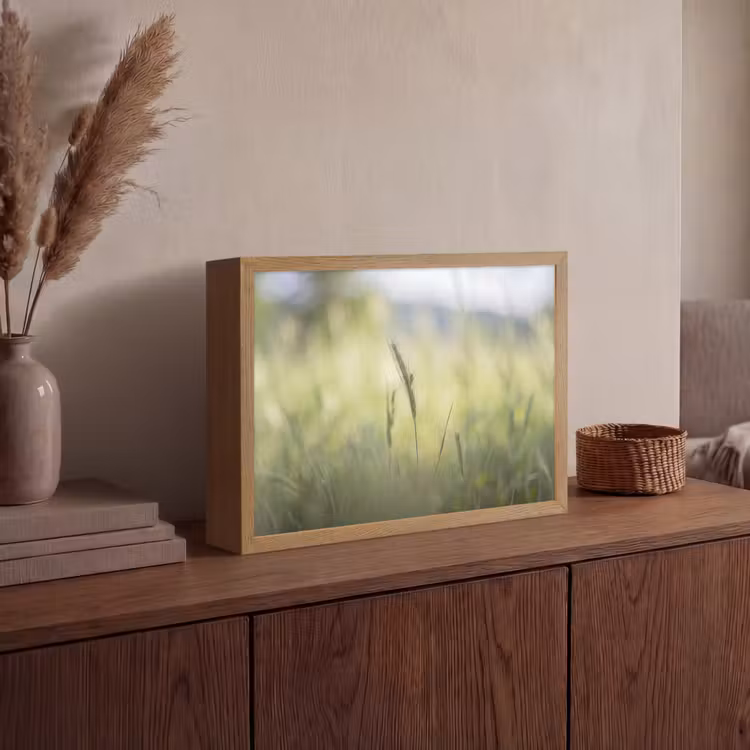 Lightbox - Wandlamp - Graan - Aar - Natuur - Groen - Detail — 4