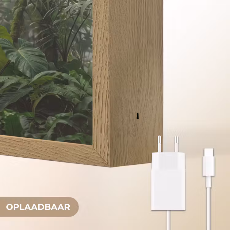 Lightbox - Wandlamp - Natuur - Jungle - Mist - Tropisch - Groen — 7