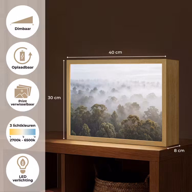 Lightbox - Wandlamp - Natuur - Mist - Bos - Ochtend - Goud — 10