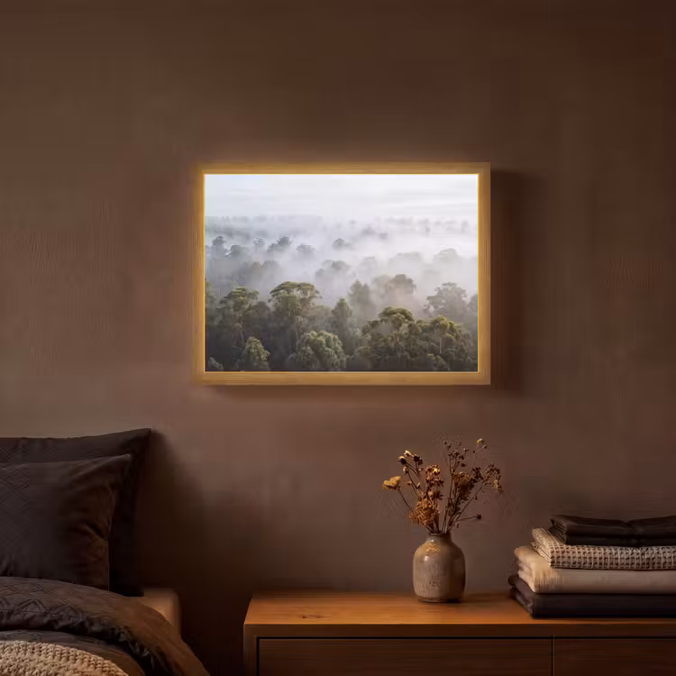 Lightbox - Wandlamp - Natuur - Mist - Bos - Ochtend - Goud — 3