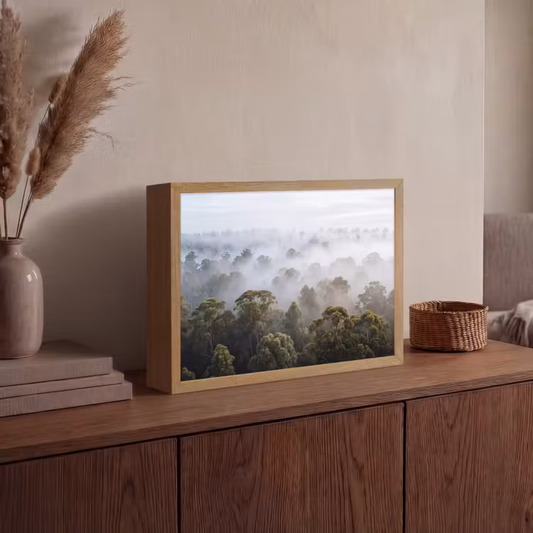 Lightbox - Wandlamp - Natuur - Mist - Bos - Ochtend - Goud — 4