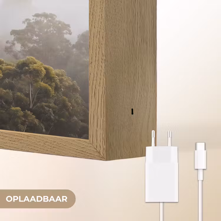 Lightbox - Wandlamp - Natuur - Mist - Bos - Ochtend - Goud — 7