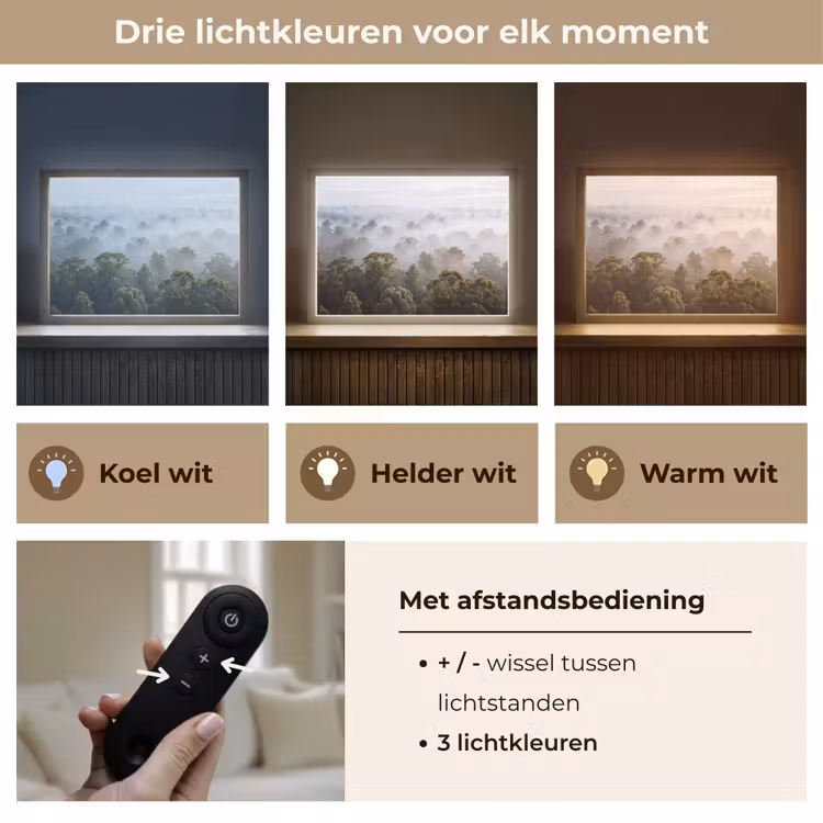 Lightbox - Wandlamp - Natuur - Mist - Bos - Ochtend - Goud — 8