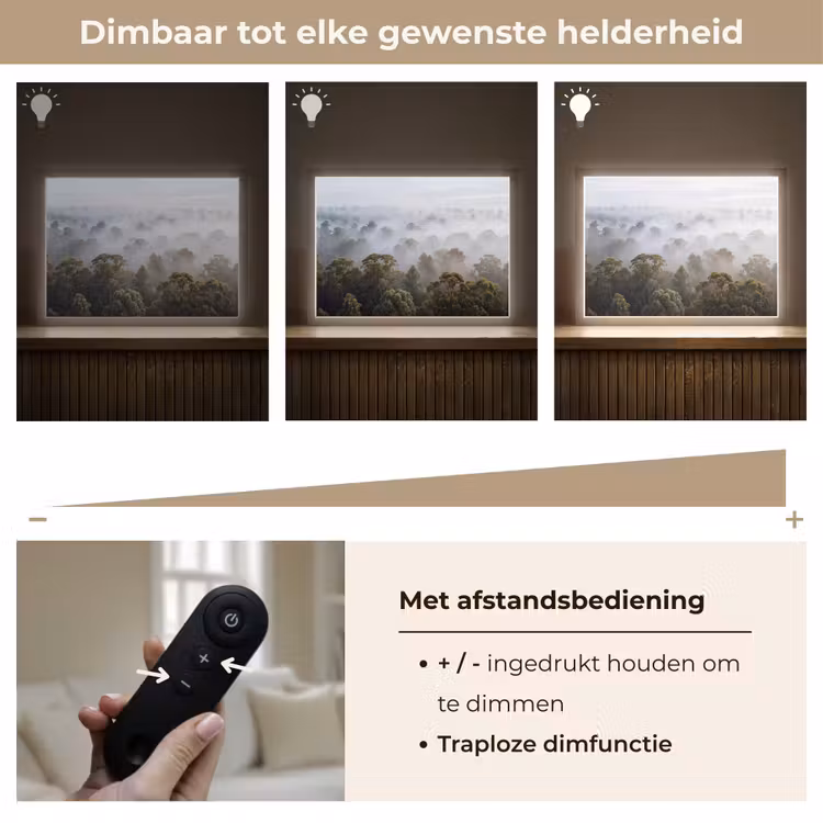 Lightbox - Wandlamp - Natuur - Mist - Bos - Ochtend - Goud — 9