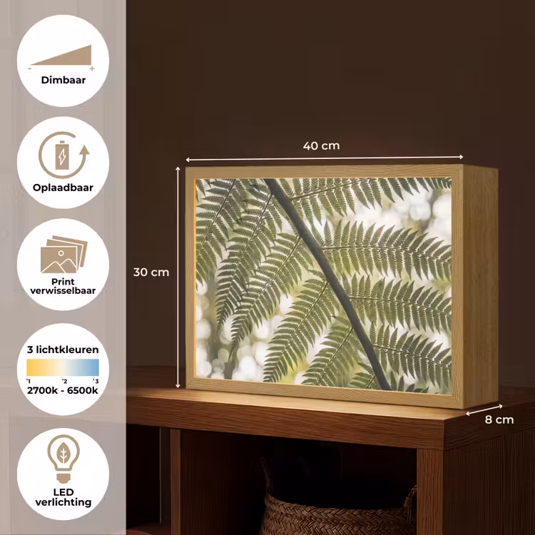 Lightbox - Wandlamp - Plant - Blad - Natuur - Groen - Detail — 10