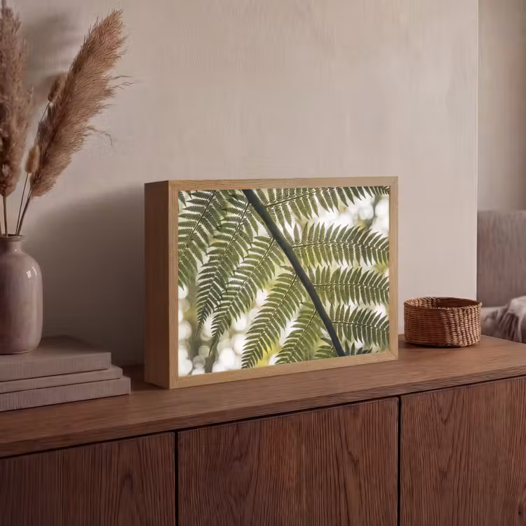 Lightbox - Wandlamp - Plant - Blad - Natuur - Groen - Detail — 4