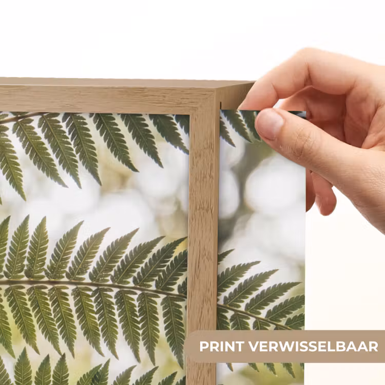 Lightbox - Wandlamp - Plant - Blad - Natuur - Groen - Detail — 5