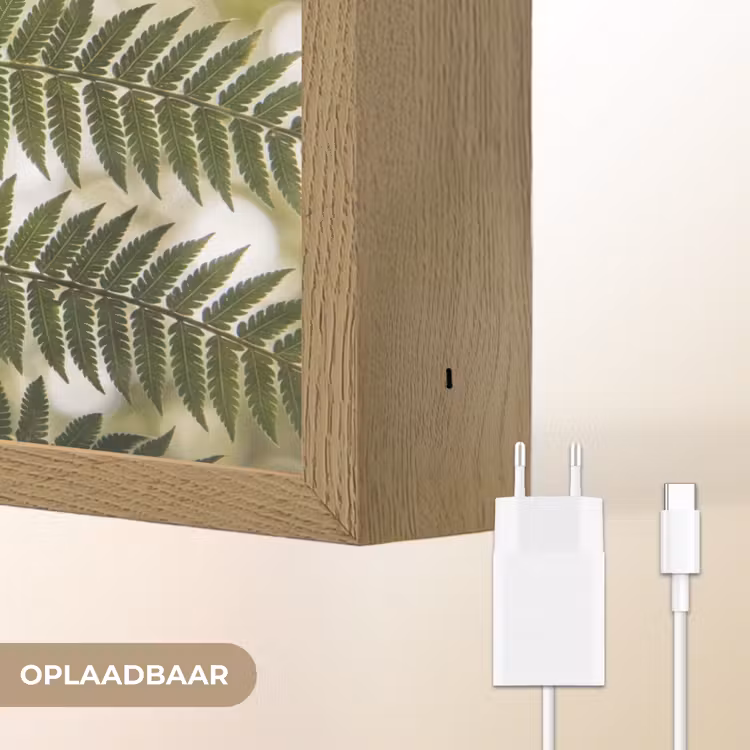 Lightbox - Wandlamp - Plant - Blad - Natuur - Groen - Detail — 7