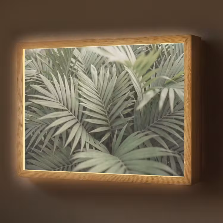 Lightbox - Wandlamp - Plant - Palmbladeren - Natuur - Groen — 1