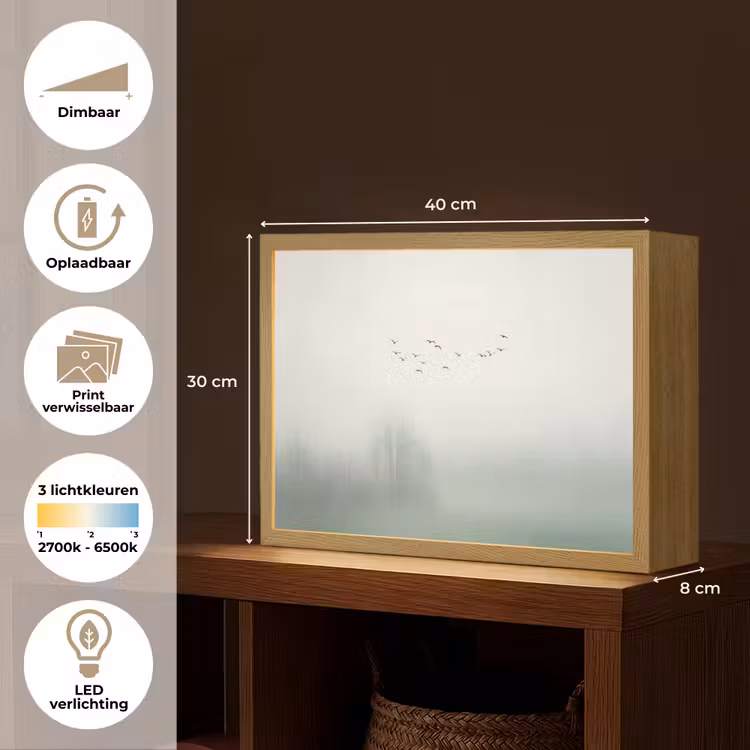Lightbox - Wandlamp - Vogel - Vlucht - Natuur - Minimalistisch — 10