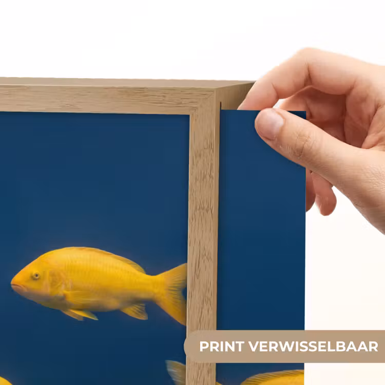 Lightbox - Wandlamp - Vrouw - Vis - Water - Natuur - Geel — 5