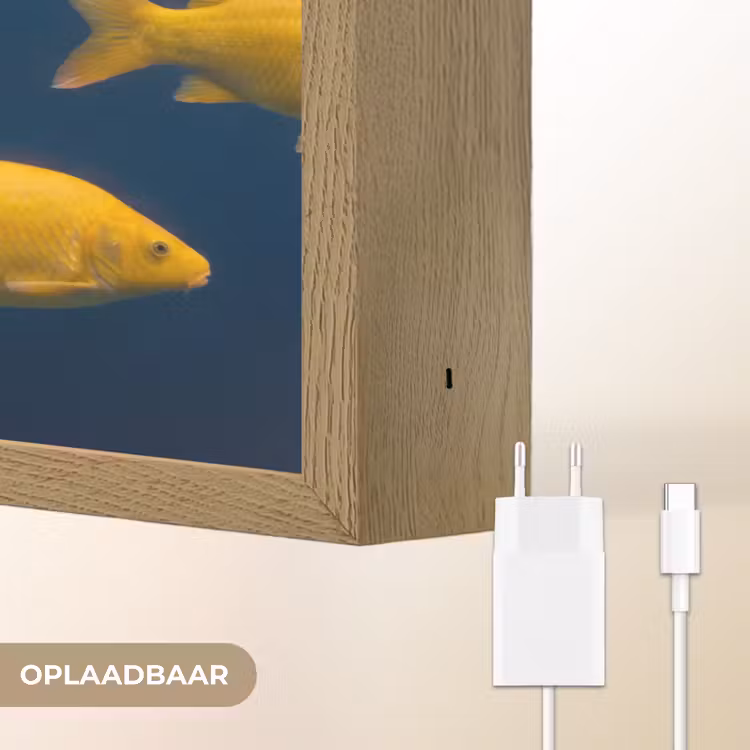 Lightbox - Wandlamp - Vrouw - Vis - Water - Natuur - Geel — 7