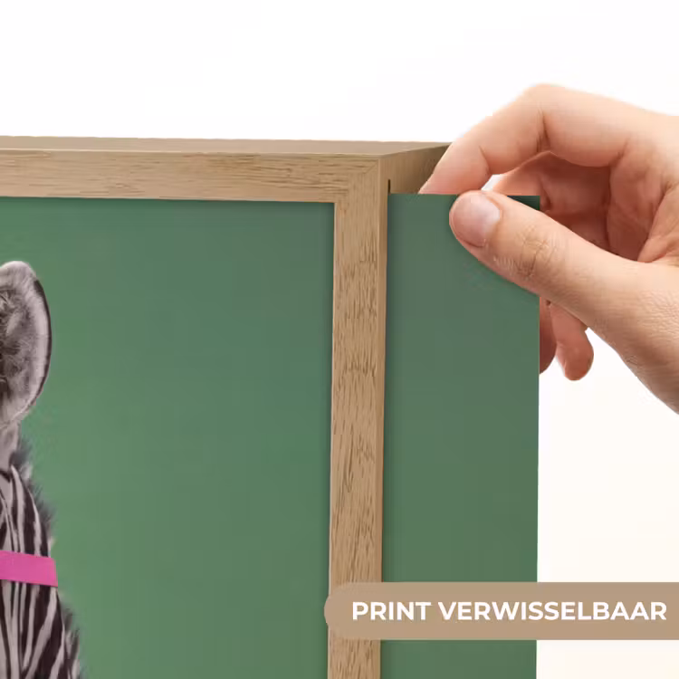 Lightbox - Wandlamp - Dier - Bril - Bel - Modern - Groen — 5