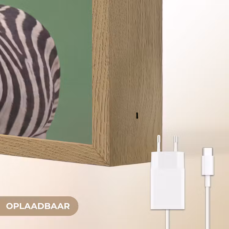 Lightbox - Wandlamp - Dier - Bril - Bel - Modern - Groen — 7