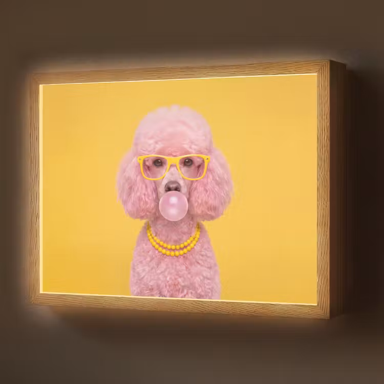 Lightbox - Wandlamp - Hond - Kauwgum - Dieren - Modern - Roze — 1