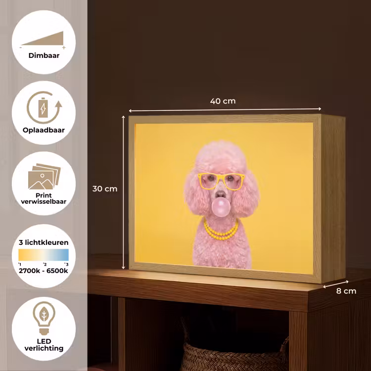 Lightbox - Wandlamp - Hond - Kauwgum - Dieren - Modern - Roze — 10