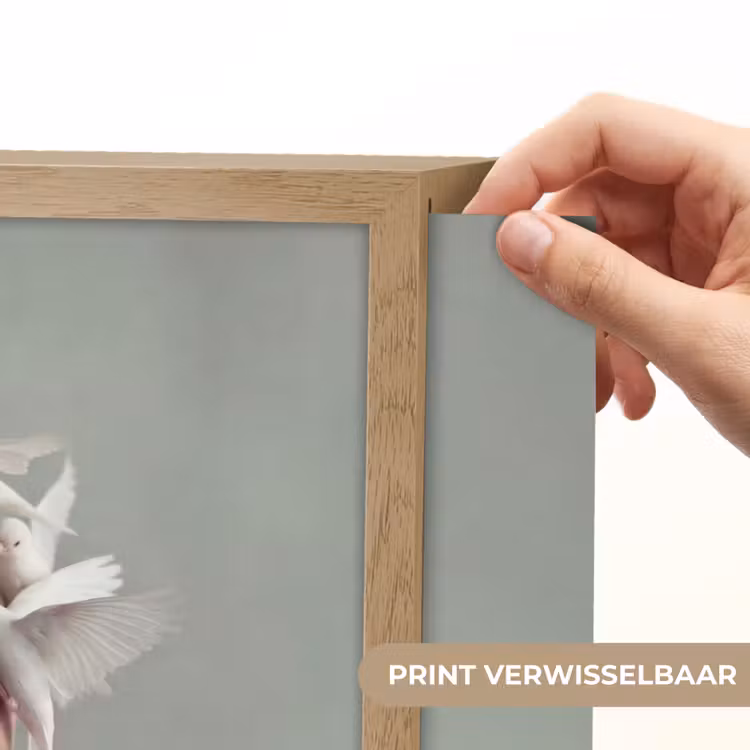 Lightbox - Wandlamp - Vrouw - Vogels - Abstract - Modern - Wit — 5