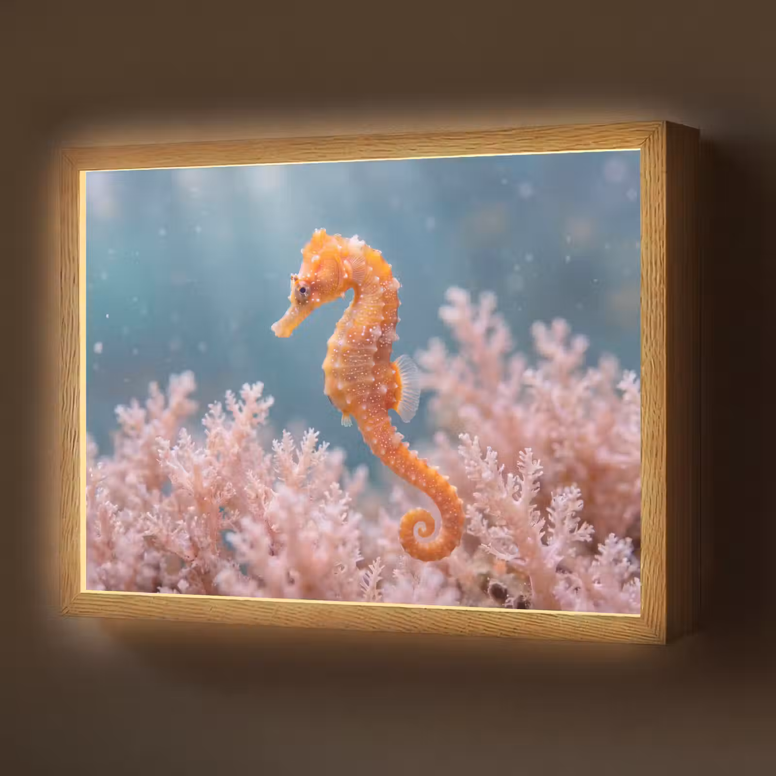 Lightbox - Wandlamp - Vis - Koraal - Oceaan - Macro - Oranje — 1