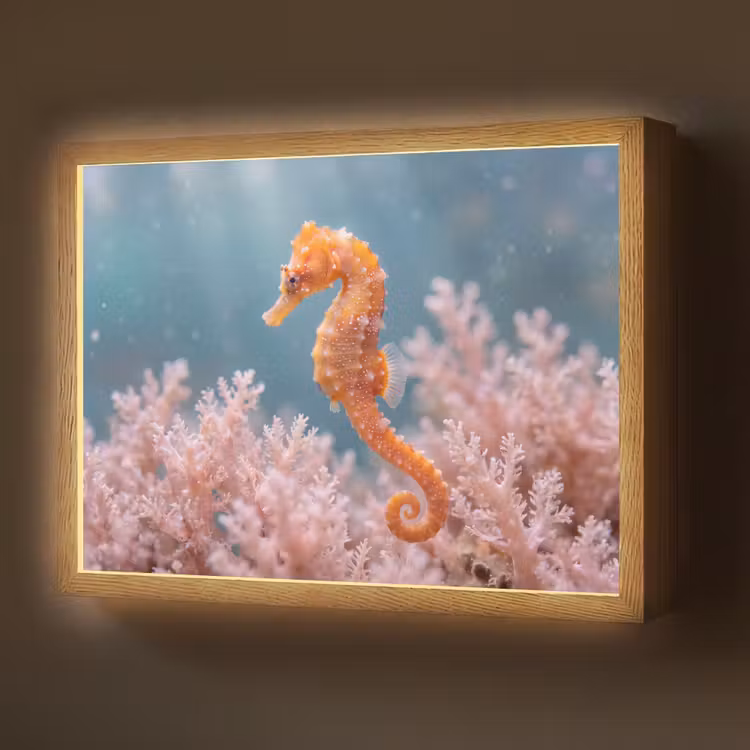 Lightbox - Wandlamp - Vis - Koraal - Oceaan - Macro - Oranje — 1
