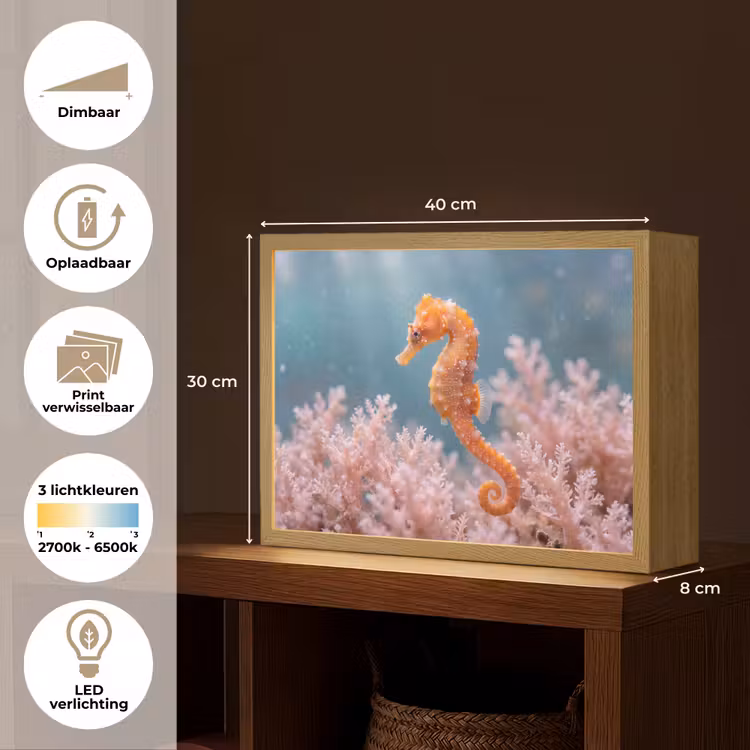 Lightbox - Wandlamp - Vis - Koraal - Oceaan - Macro - Oranje — 10