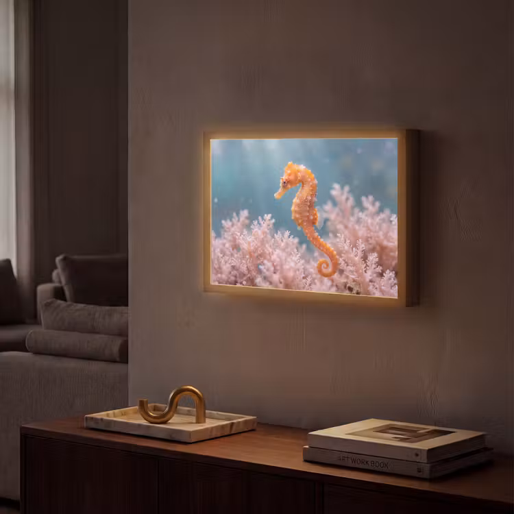 Lightbox - Wandlamp - Vis - Koraal - Oceaan - Macro - Oranje — 2